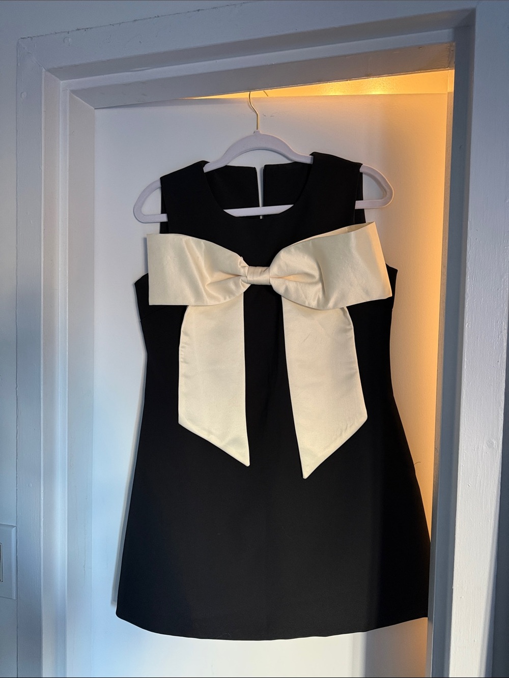 Sierra Darien Bow Mini Dress / Size S-M